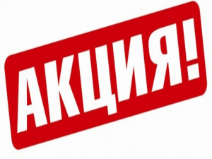Собачки 18 Собачки 74