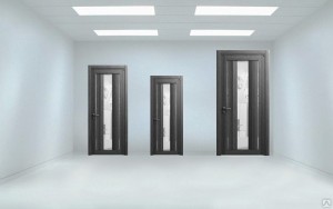 нестандартные двери